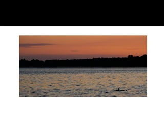 Minnesota’S Finest