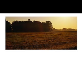 Minnesota’S Finest