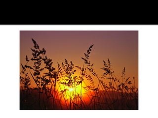 Minnesota’S Finest