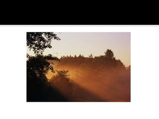 Minnesota’S Finest