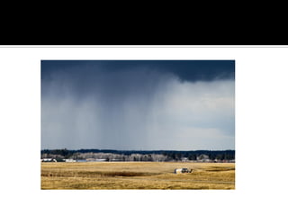 Minnesota’S Finest