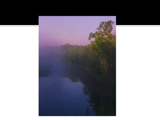 Minnesota’S Finest