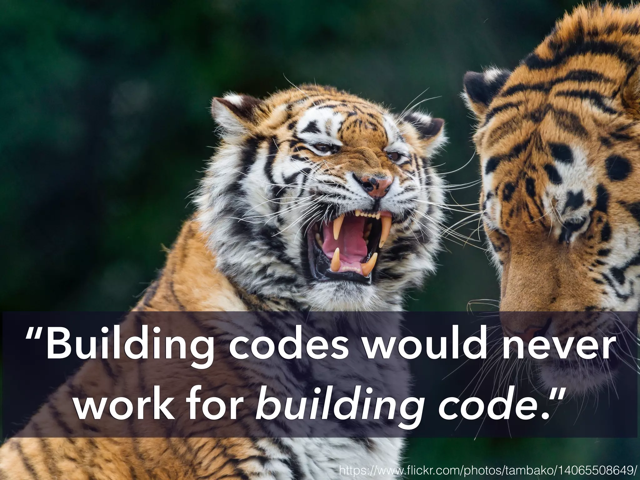 “Building codes would never
work for building code.”
https://www.ﬂickr.com/photos/tambako/14065508649/
 