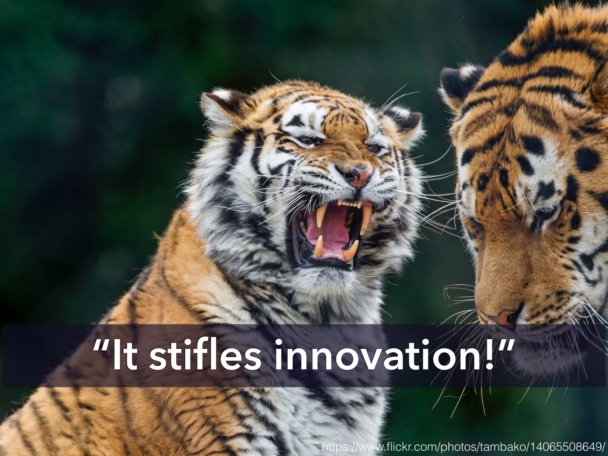 “It stiﬂes innovation!”
https://www.ﬂickr.com/photos/tambako/14065508649/
 