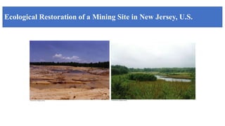Ecological Restoration of a Mining Site in New Jersey, U.S.
 