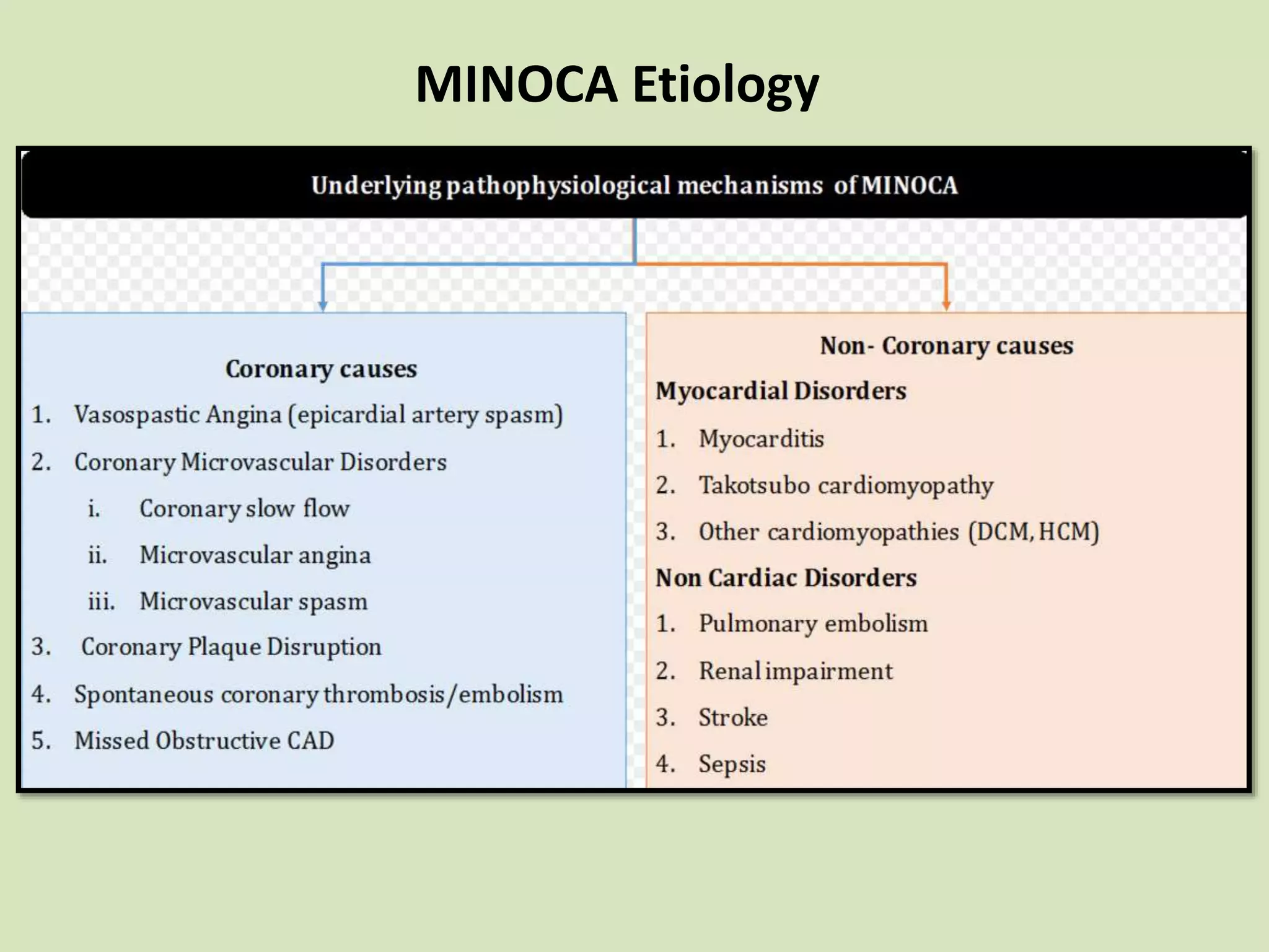 MINOCA Etiology
 