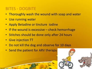 BITES - DOGBITE
• Thoroughly wash the wound with soap and water
• Use running water
• Apply Betadine or tincture iodine
• If the wound is excessive – check hemorrhage
• Stitches should be done only after 24 hours
• Give injection TT
• Do not kill the dog and observe for 10 days
• Send the patient for ARV therapy
 