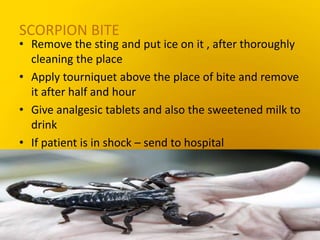 SCORPION BITE
• Remove the sting and put ice on it , after thoroughly
cleaning the place
• Apply tourniquet above the place of bite and remove
it after half and hour
• Give analgesic tablets and also the sweetened milk to
drink
• If patient is in shock – send to hospital
 