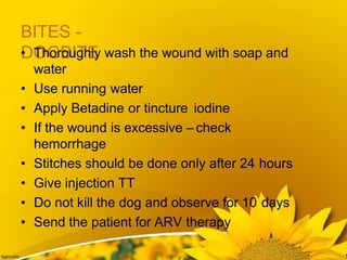 Minor ailments and first aid formalities | PPTX