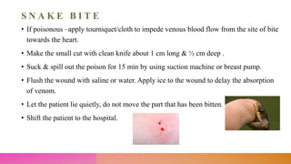 S N A K E B I T E
• If poisonous –apply tourniquet/cloth to impede venous blood flow from the site of bite
towards the heart.
• Make the small cut with clean knife about 1 cm long & ½ cm deep .
• Suck & spill out the poison for 15 min by using suction machine or breast pump.
• Flush the wound with saline or water. Apply ice to the wound to delay the absorption
of venom.
• Let the patient lie quietly, do not move the part that has been bitten.
• Shift the patient to the hospital.
 
