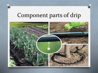 Component parts of drip
 