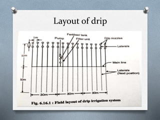 Layout of drip
 