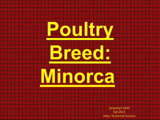 Poultry
Breed:
Minorca
Jacquelyn Veith
Fall 2015
Intro. To Animal Science
 
