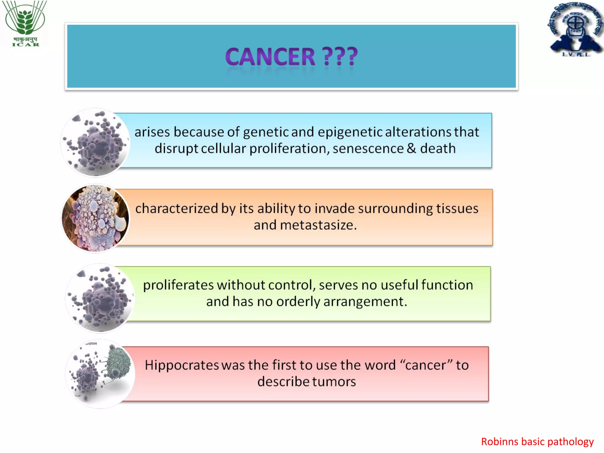 Role of apoptosis in cancer progression | PPT