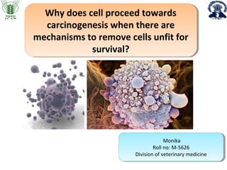 Why does cell proceed towards
carcinogenesis when there are
mechanisms to remove cells unfit for
survival?
Why does cell proceed towards
carcinogenesis when there are
mechanisms to remove cells unfit for
survival?
Monika
Roll no: M-5626
Division of veterinary medicine
Monika
Roll no: M-5626
Division of veterinary medicine
 