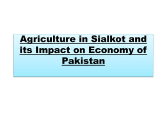 Agriculture in Sialkot and
its Impact on Economy of
Pakistan
 