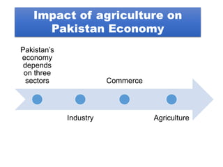 agriculture industry in sialkot and its impact on the economy of ...