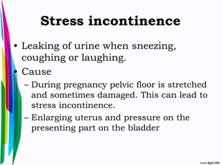 Minor disorders of pregnancy | PPTX