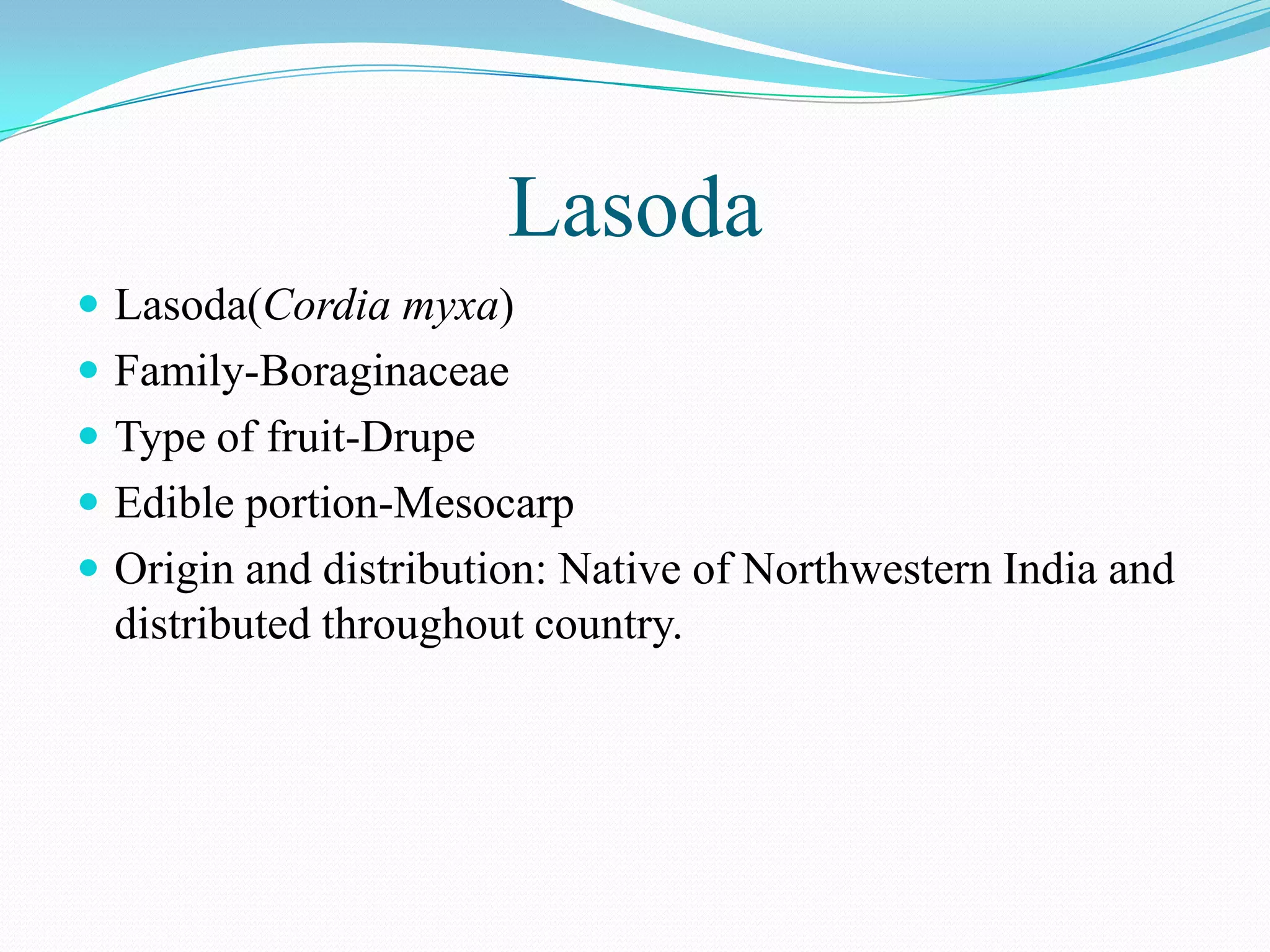 Lasoda
 Lasoda(Cordia myxa)
 Family-Boraginaceae
 Type of fruit-Drupe
 Edible portion-Mesocarp
 Origin and distribution: Native of Northwestern India and
distributed throughout country.
 