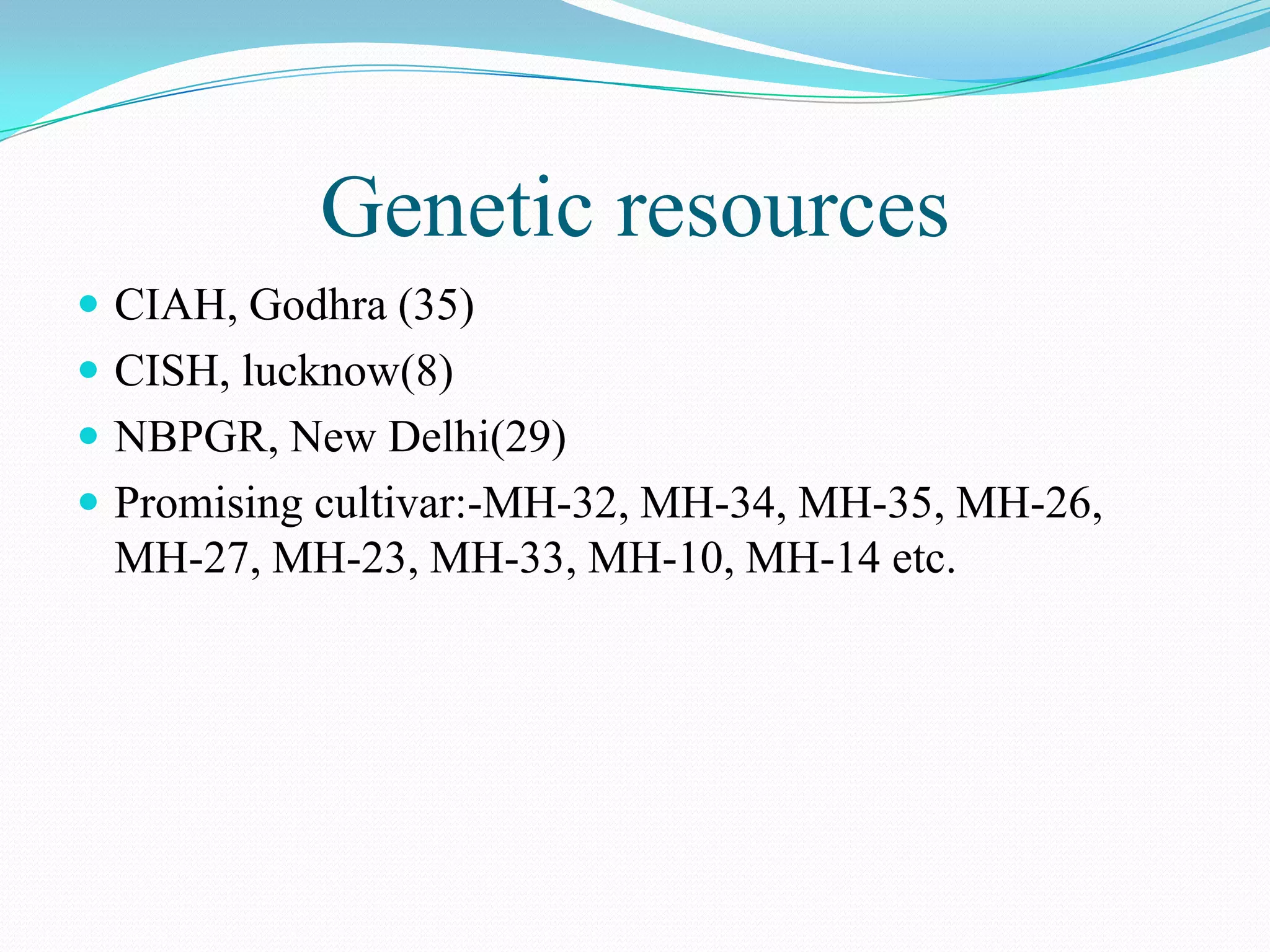 Genetic resources
 CIAH, Godhra (35)
 CISH, lucknow(8)
 NBPGR, New Delhi(29)
 Promising cultivar:-MH-32, MH-34, MH-35, MH-26,
MH-27, MH-23, MH-33, MH-10, MH-14 etc.
 
