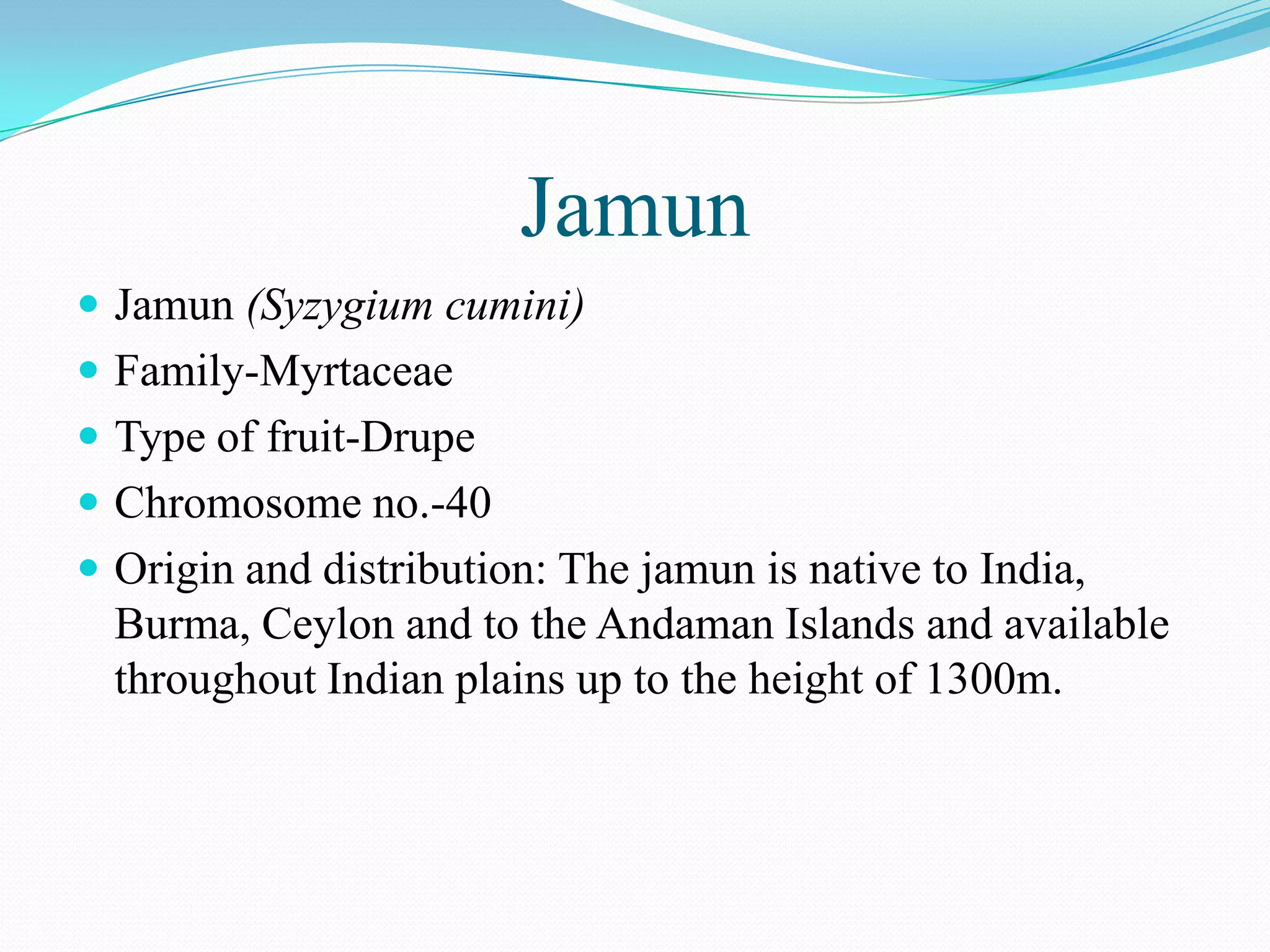 Jamun
 Jamun (Syzygium cumini)
 Family-Myrtaceae
 Type of fruit-Drupe
 Chromosome no.-40
 Origin and distribution: The jamun is native to India,
Burma, Ceylon and to the Andaman Islands and available
throughout Indian plains up to the height of 1300m.
 