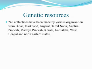 Genetic resources
 248 collections have been made by various organization
from Bihar, Jharkhand, Gujarat, Tamil Nadu, Andhra
Pradesh, Madhya Pradesh, Kerala, Karnataka, West
Bengal and north eastern states.
 