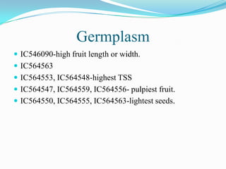 Germplasm
 IC546090-high fruit length or width.
 IC564563
 IC564553, IC564548-highest TSS
 IC564547, IC564559, IC564556- pulpiest fruit.
 IC564550, IC564555, IC564563-lightest seeds.
 
