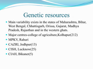Genetic resources
 Main variability exists in the states of Maharashtra, Bihar,
West Bengal, Chhattisgarh, Orissa, Gujarat, Madhya
Pradesh, Rajasthan and in the western ghats.
 Major centres-college of agriculture,Kolhapur(212)
 MPKV, Rahuri
 CAZRI, Jodhpur(13)
 CISH, Lucknow(25)
 CIAH, Bikaner(5)
 