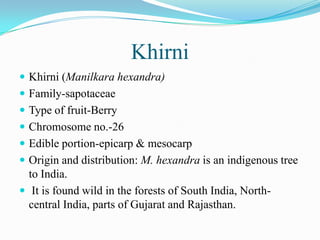 Khirni
 Khirni (Manilkara hexandra)
 Family-sapotaceae
 Type of fruit-Berry
 Chromosome no.-26
 Edible portion-epicarp & mesocarp
 Origin and distribution: M. hexandra is an indigenous tree
to India.
 It is found wild in the forests of South India, North-
central India, parts of Gujarat and Rajasthan.
 