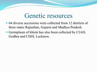 Genetic resources
 64 diverse accessions were collected from 12 districts of
three states Rajasthan, Gujarat and Madhya Pradesh.
 Germplasm of khirni has also been collected by CIAH,
Godhra and CISH, Lucknow.
 