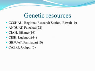 Genetic resources
 CCSHAU, Regional Research Station, Bawal(10)
 ANDUAT, Faizabad(22)
 CIAH, Bikaner(16)
 CISH, Lucknow(44)
 GBPUAT, Pantnagar(10)
 CAZRI, Jodhpur(5)
 