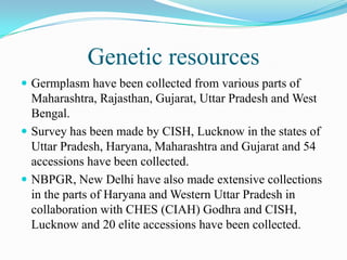 Genetic resources
 Germplasm have been collected from various parts of
Maharashtra, Rajasthan, Gujarat, Uttar Pradesh and West
Bengal.
 Survey has been made by CISH, Lucknow in the states of
Uttar Pradesh, Haryana, Maharashtra and Gujarat and 54
accessions have been collected.
 NBPGR, New Delhi have also made extensive collections
in the parts of Haryana and Western Uttar Pradesh in
collaboration with CHES (CIAH) Godhra and CISH,
Lucknow and 20 elite accessions have been collected.
 