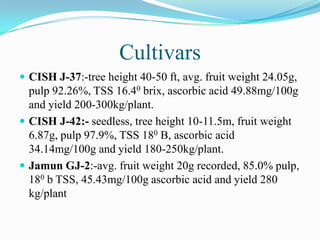 Cultivars
 CISH J-37:-tree height 40-50 ft, avg. fruit weight 24.05g,
pulp 92.26%, TSS 16.40 brix, ascorbic acid 49.88mg/100g
and yield 200-300kg/plant.
 CISH J-42:- seedless, tree height 10-11.5m, fruit weight
6.87g, pulp 97.9%, TSS 180 B, ascorbic acid
34.14mg/100g and yield 180-250kg/plant.
 Jamun GJ-2:-avg. fruit weight 20g recorded, 85.0% pulp,
180 b TSS, 45.43mg/100g ascorbic acid and yield 280
kg/plant
 
