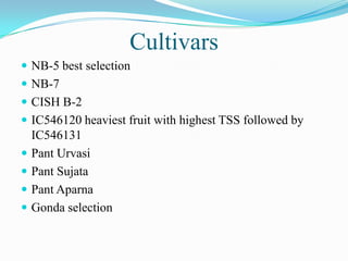Cultivars
 NB-5 best selection
 NB-7
 CISH B-2
 IC546120 heaviest fruit with highest TSS followed by
IC546131
 Pant Urvasi
 Pant Sujata
 Pant Aparna
 Gonda selection
 