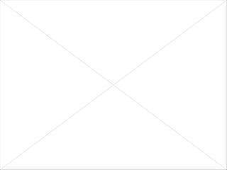 Minorities in the u.s.