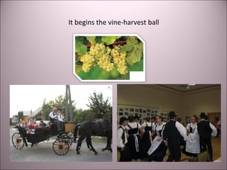 It begins the vine-harvest ball
 