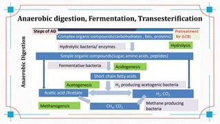 Anaerobic digestion, Fermentation, Transesterification
Anaerobic
Digestion
 