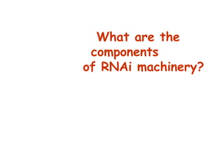 What are the
components
of RNAi machinery?
 