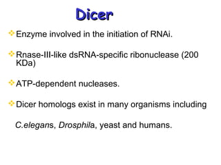 DicerDicer
Enzyme involved in the initiation of RNAi.
Rnase-III-like dsRNA-specific ribonuclease (200
KDa)
ATP-dependent nucleases.
Dicer homologs exist in many organisms including
C.elegans, Drosphila, yeast and humans.
 