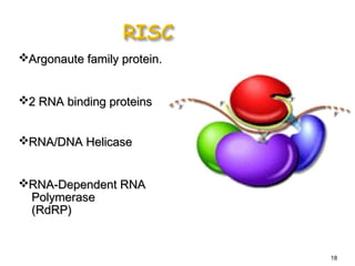 Argonaute family protein.Argonaute family protein.
2 RNA binding proteins2 RNA binding proteins
RNA/DNA HelicaseRNA/DNA Helicase
RNA-Dependent RNARNA-Dependent RNA
PolymerasePolymerase
(RdRP)(RdRP)
18
 