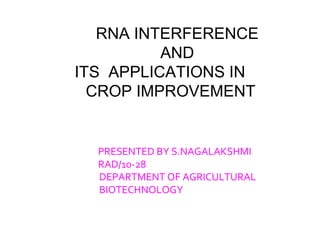 RNA INTERFERENCE
AND
ITS APPLICATIONS IN
CROP IMPROVEMENT
PRESENTED BY S.NAGALAKSHMI
RAD/10-28
DEPARTMENT OF AGRICULTURAL
BIOTECHNOLOGY
 