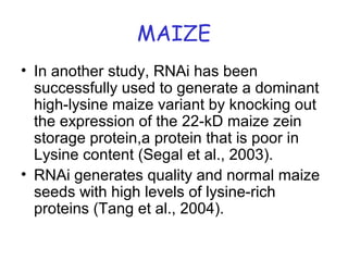 MAIZE
• In another study, RNAi has been
successfully used to generate a dominant
high-lysine maize variant by knocking out
the expression of the 22-kD maize zein
storage protein,a protein that is poor in
Lysine content (Segal et al., 2003).
• RNAi generates quality and normal maize
seeds with high levels of lysine-rich
proteins (Tang et al., 2004).
 