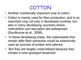 COTTON
• Another nutritionally important crop is cotton.
• Cotton is mainly used for fiber production, and is an
important crop not only in developed ountries, but
also in many developing countries where
malnutrition and starvation are widespread
(Sunilkumar et al., 2006).
• In these developing areas, the cottonseeds that
remain after fiber extraction could be extensively
used as sources of protein and calories.
• But they are largely underutilized because they
contain a toxic gossypol terpenoid.
 