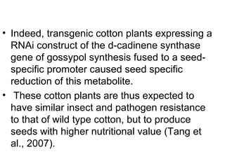 • Indeed, transgenic cotton plants expressing a
RNAi construct of the d-cadinene synthase
gene of gossypol synthesis fused to a seed-
specific promoter caused seed specific
reduction of this metabolite.
• These cotton plants are thus expected to
have similar insect and pathogen resistance
to that of wild type cotton, but to produce
seeds with higher nutritional value (Tang et
al., 2007).
 