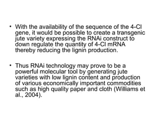 • With the availability of the sequence of the 4-Cl
gene, it would be possible to create a transgenic
jute variety expressing the RNAi construct to
down regulate the quantity of 4-Cl mRNA
thereby reducing the lignin production.
• Thus RNAi technology may prove to be a
powerful molecular tool by generating jute
varieties with low lignin content and production
of various economically important commodities
such as high quality paper and cloth (Williams et
al., 2004).
 