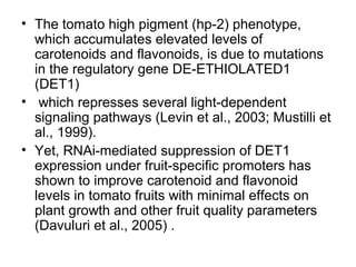 • The tomato high pigment (hp-2) phenotype,
which accumulates elevated levels of
carotenoids and flavonoids, is due to mutations
in the regulatory gene DE-ETHIOLATED1
(DET1)
• which represses several light-dependent
signaling pathways (Levin et al., 2003; Mustilli et
al., 1999).
• Yet, RNAi-mediated suppression of DET1
expression under fruit-specific promoters has
shown to improve carotenoid and flavonoid
levels in tomato fruits with minimal effects on
plant growth and other fruit quality parameters
(Davuluri et al., 2005) .
 