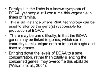 • Paralysis in the limbs is a known symptom of
BOAA, yet people still consume this vegetable in
times of famine.
• This is an instance where RNAi technology can be
used to silence the gene(s) responsible for
production of BOAA.
• There may be one difficulty; in that the BOAA
genes may be linked to genes, which confer
immunity to this unique crop or impart drought and
flood tolerance.
• Bringing down the levels of BOAA to a safe
concentration, rather than totally silencing the
concerned genes, may overcome this obstacle
(Williams et al., 2004).
 