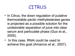 CITRUS
• In Citrus, the down regulation of putative
thermostable pectin methylesterase genes
is projected as a possible solution for the
undesirable separation of juice into clear
serum and particulate phase (Guo et al.,
2005).
• In this case, RNAi could be used to
achieve this goal (Amancio et al., 2007).
 