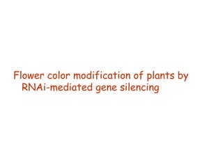 Flower color modification of plants by
RNAi-mediated gene silencing
 