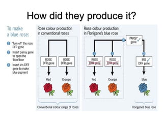 How did they produce it?How did they produce it?
 